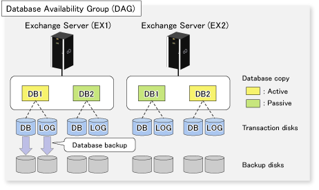 Exchange database backup