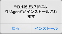 インストール画面